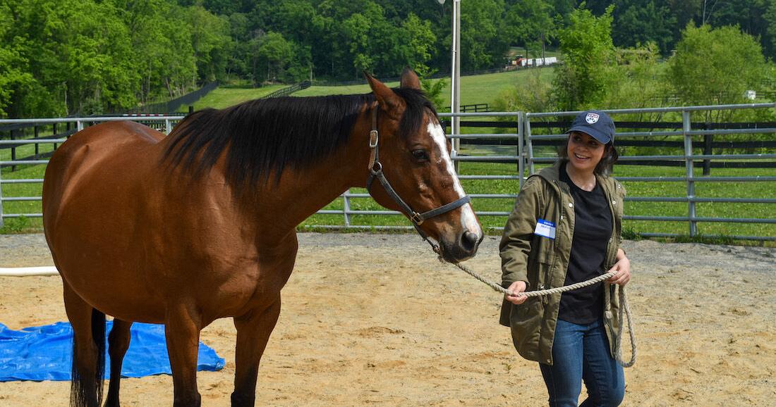 Arc of Loudoun Ends Project Horse | Giving Back | loudounnow.com