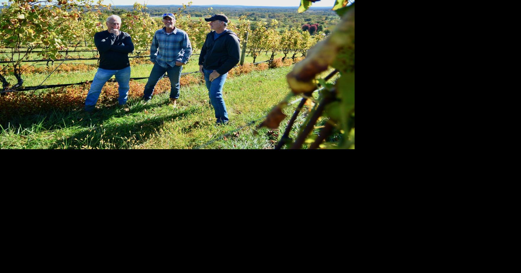 Loudoun Revisits Mountainside Overlay as Businesses Decry Lost Opportunities