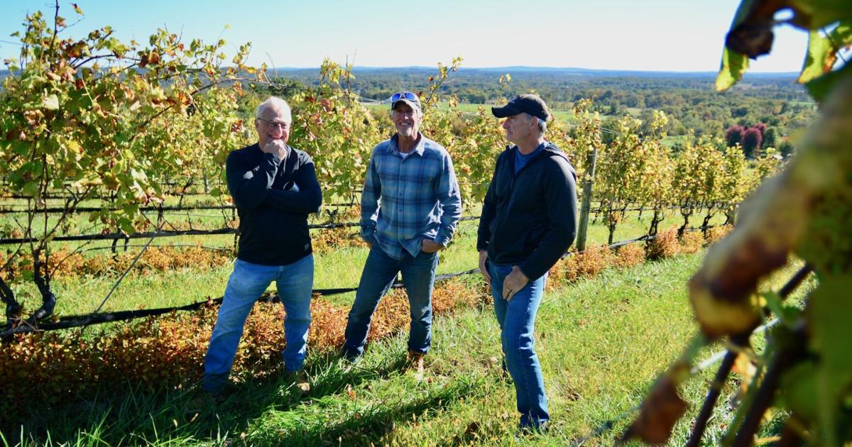 Loudoun Revisits Mountainside Overlay as Businesses Decry Lost Opportunities
