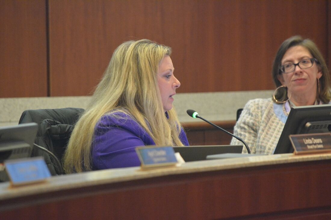 Federal Court Rules Loudoun School Board May Limit Public Comment | News |  loudounnow.com