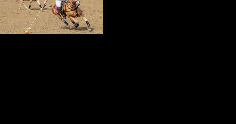 USA v Guatemala Polo Challenge Planned Saturday near Middleburg - Vimarsana News