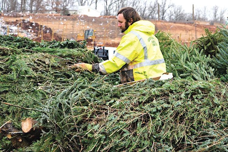 Loudoun, Leesburg Offer Christmas Tree Recycling Loudoun