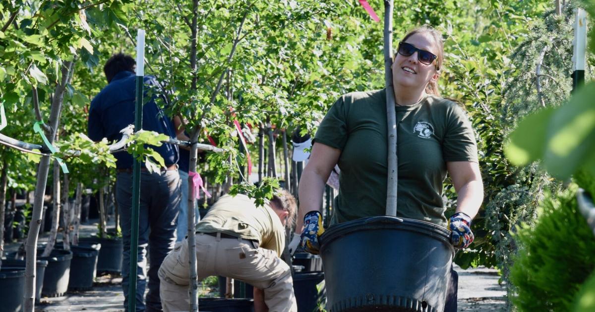Abernathy & Spencer Partner with Wildlife Conservancy, LIRA to Plant 850 Native Species
