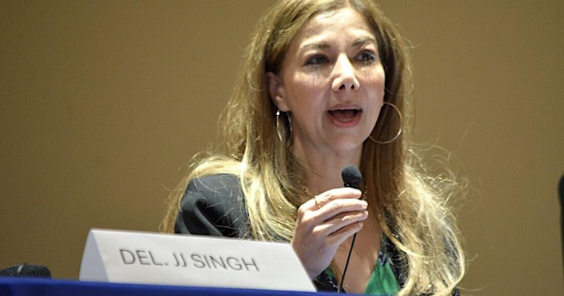 General Assembly Eyes Lower Tax Permissions for Electric Lawn Equipment