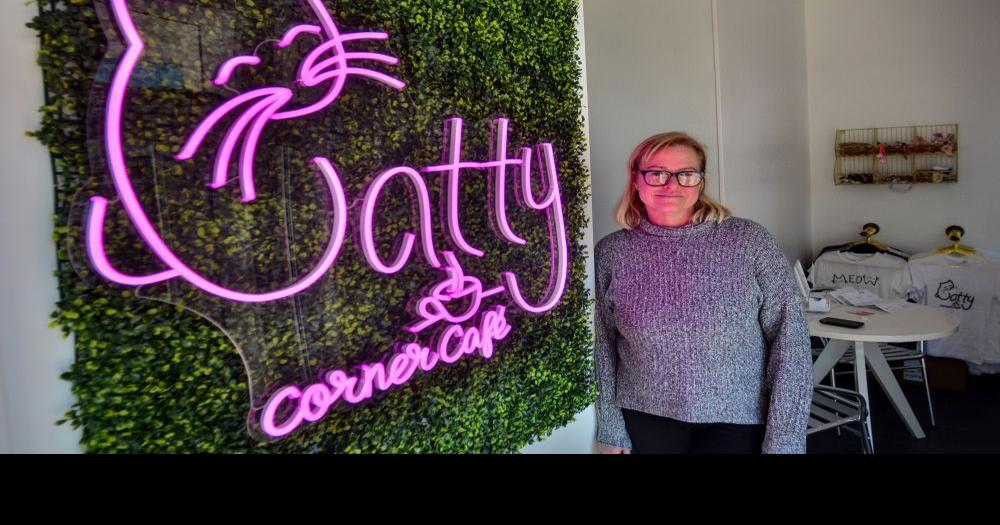 Coffee, Cookies and Cats Leesburg’s First Cat Café Opens Friday