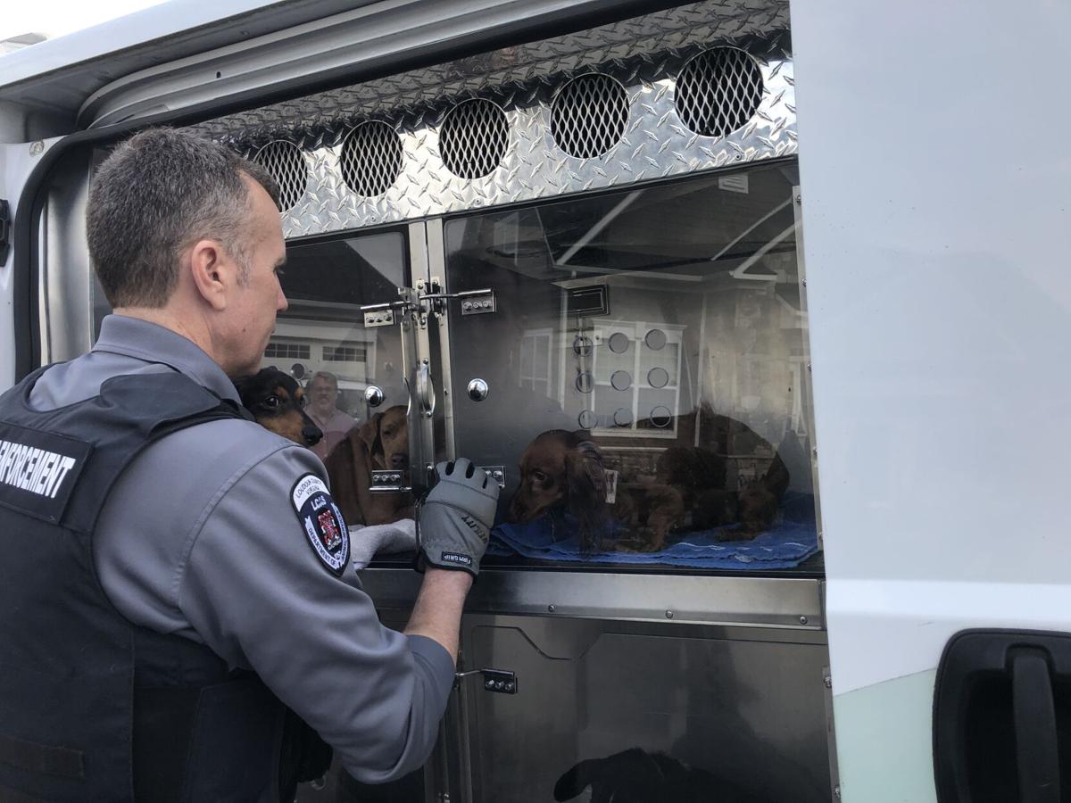 Loudoun Animal Rescue Organization Shut Down; Animals Seized Public