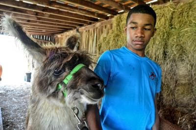 Photo Gallery: A Weekend for Springtime and Farms in Western Loudoun