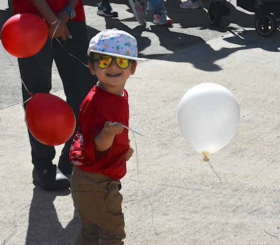 BAPS Charity Walk Support Homeless Shelter | Giving Back | loudounnow.com