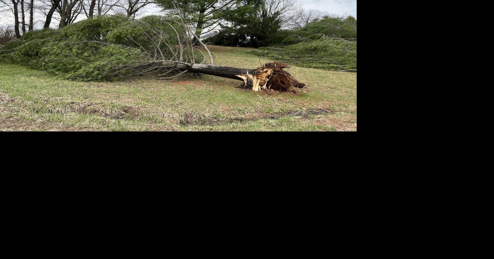 6,000 Without Power, Scattered Wind Damage After Storms