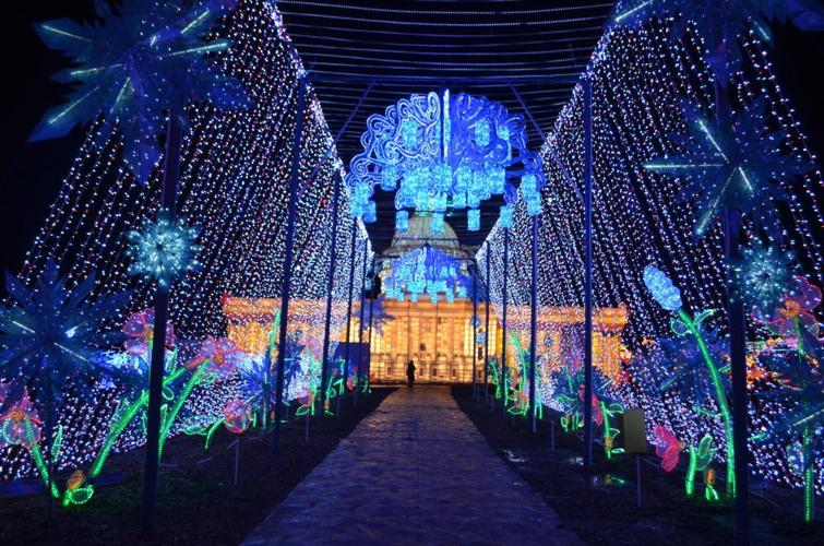 One Loudoun Flips the Switch on LightUP Fest Get Out Loudoun