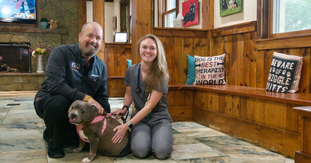 Pet Care: TikTok, Insurance, Pain Relief | News Pet Care: TikTok, Insurance, Pain Relief | News
