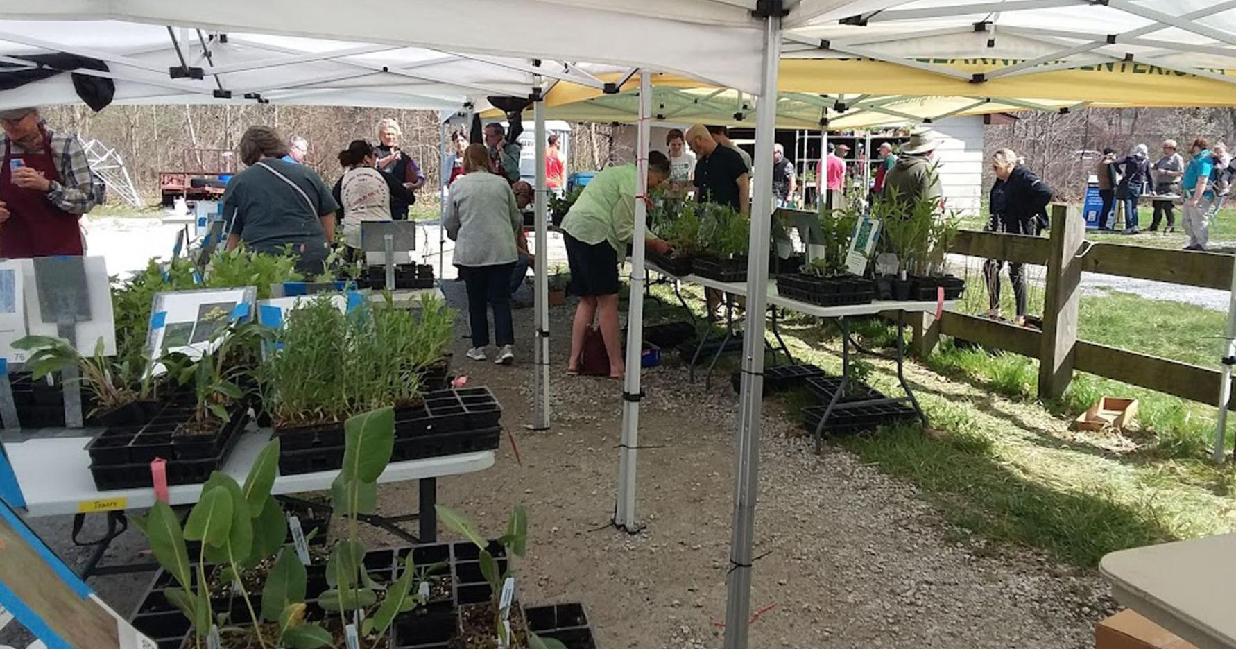 27th annual Friends of Indiana Dunes Native Plant Sale is June 3