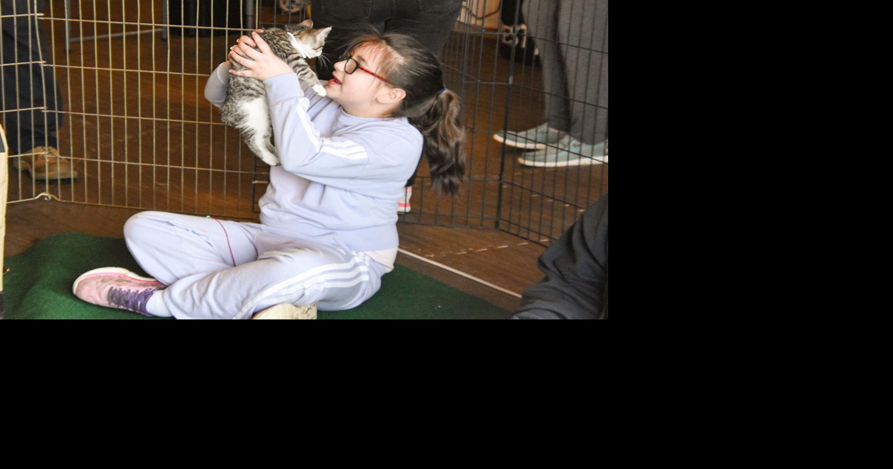 Frisky fun found at Kitty Café