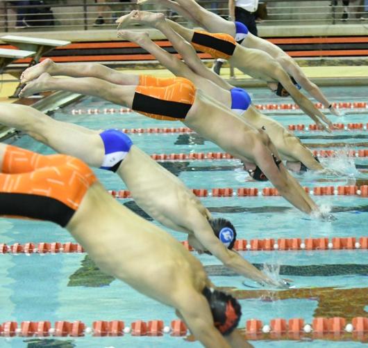 La PorteLake Central Swimming and Diving Gallery by Mike Kellems