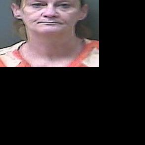 Woman arrested for selling meth at trailer in Westville | Local News ...