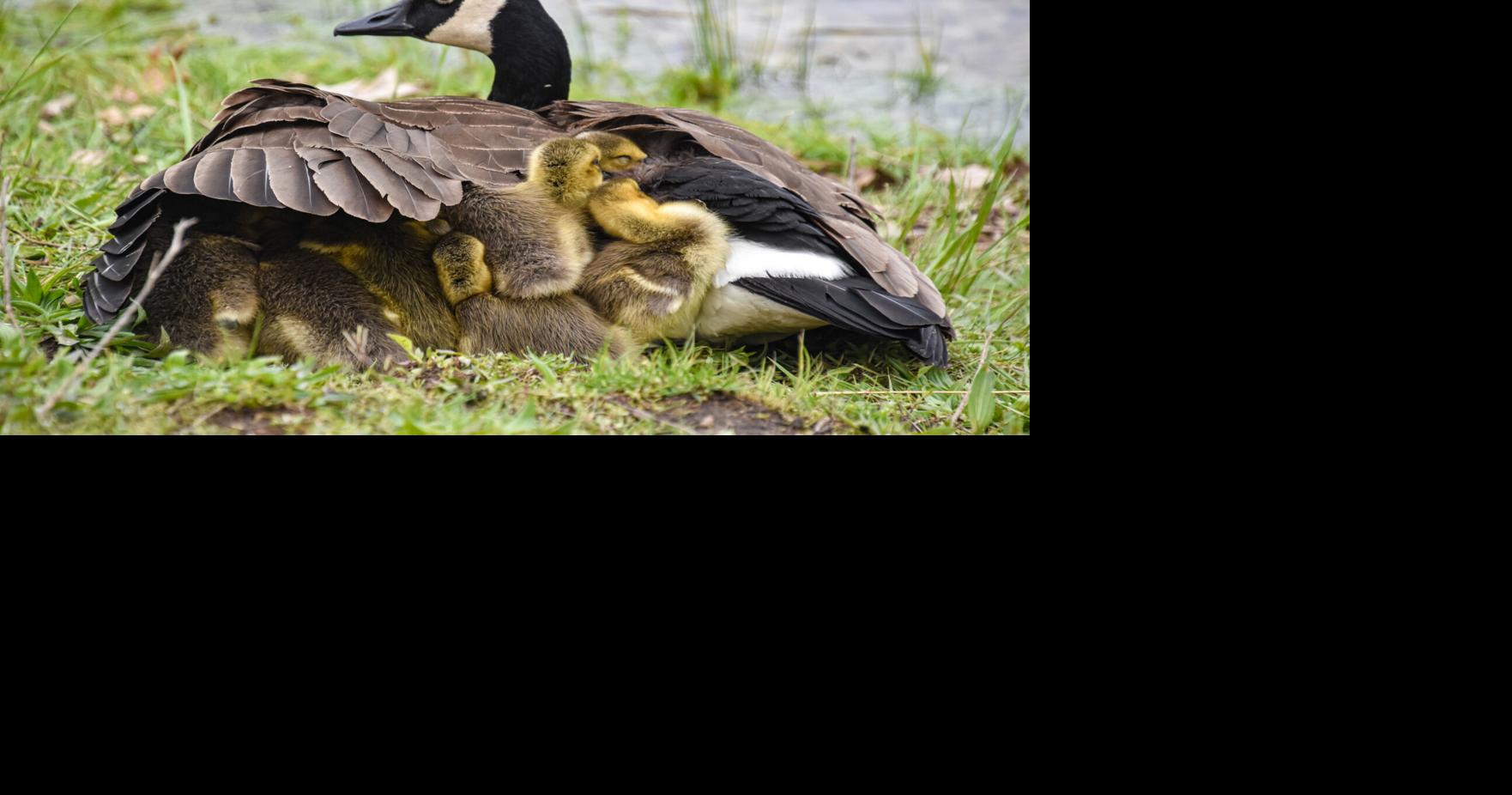 Family time on the lake