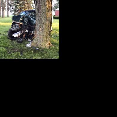 Man killed when truck slams into tree | News | lpheralddispatch.com