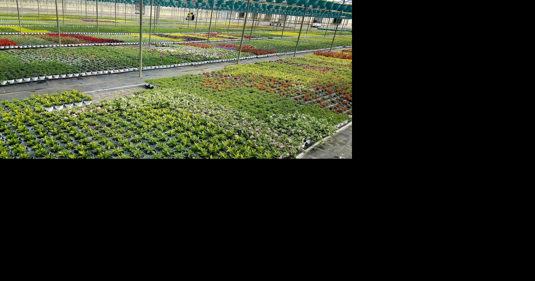 'Growing business' Blooms Greenhouse featured in La Porte County WORKS! program Business