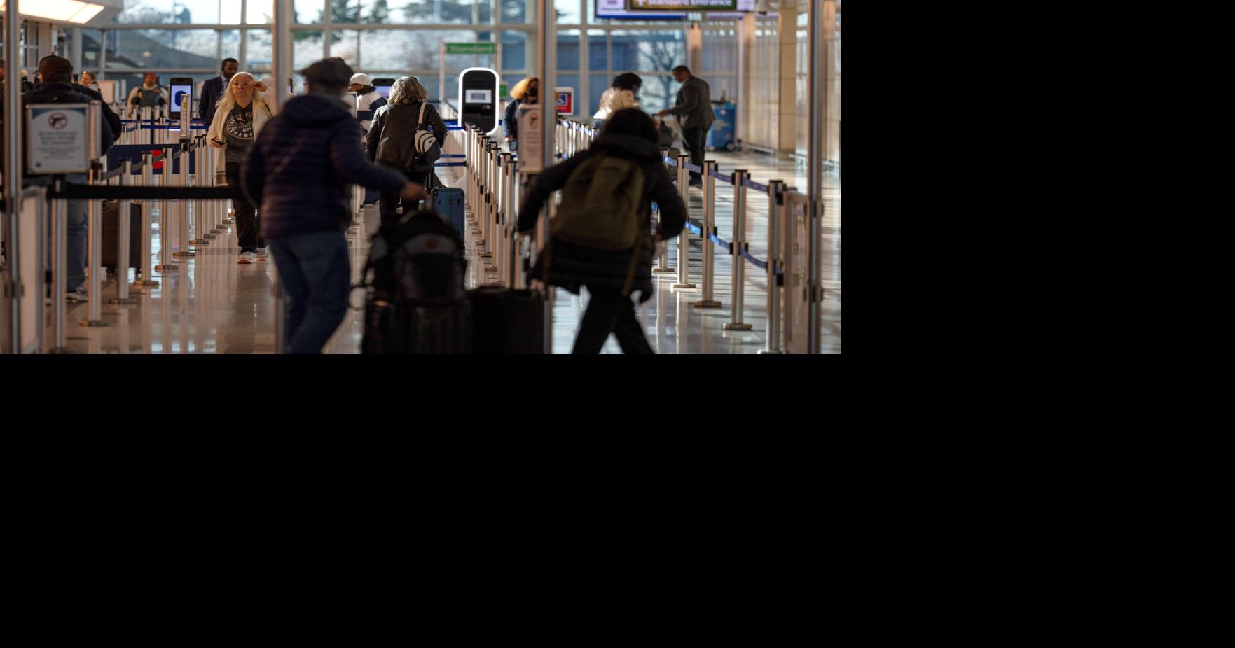 TSA Airport Gates Access