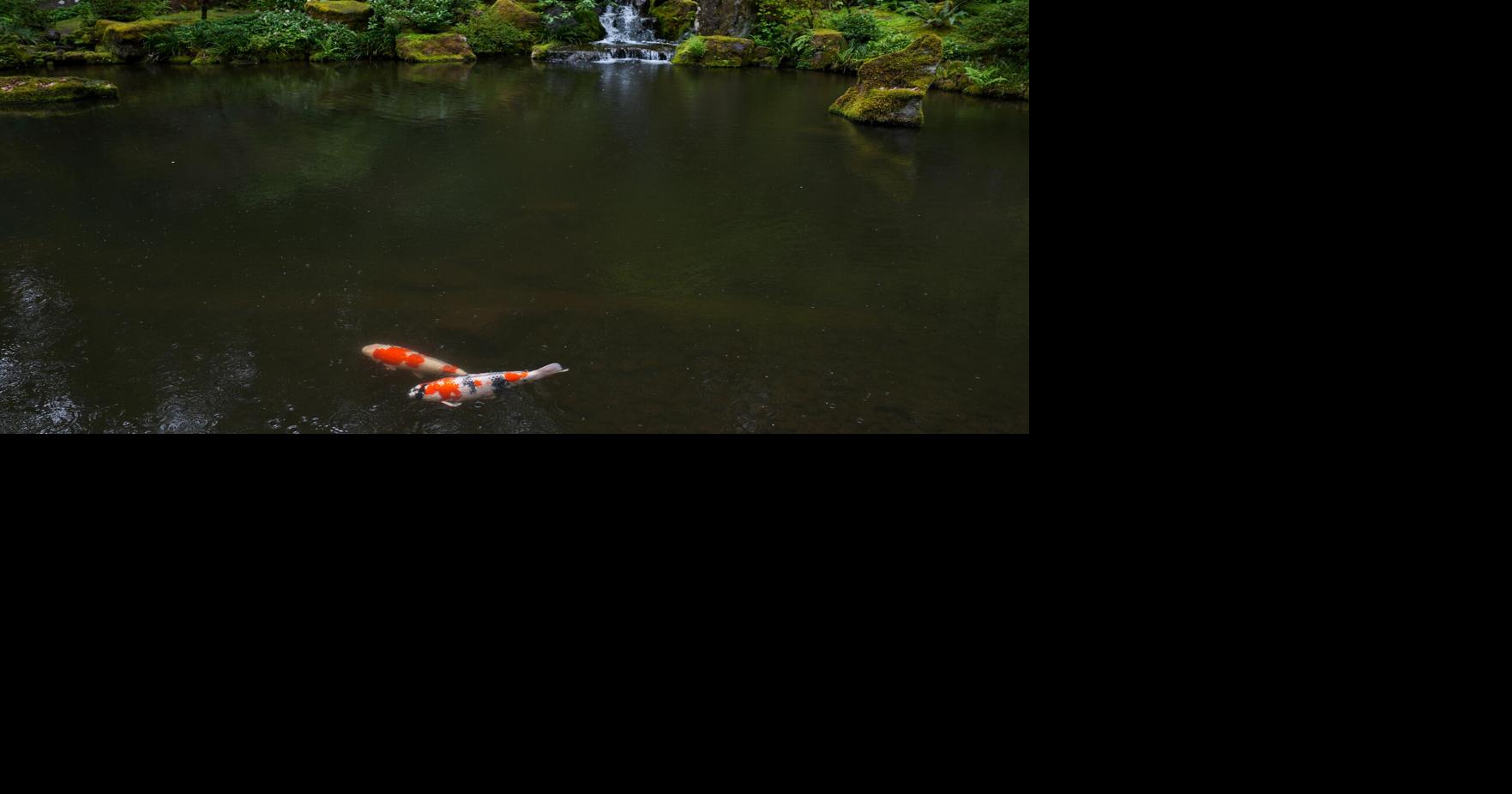 69dd84ea8b84e.image.jpg?crop=1763,926,0,