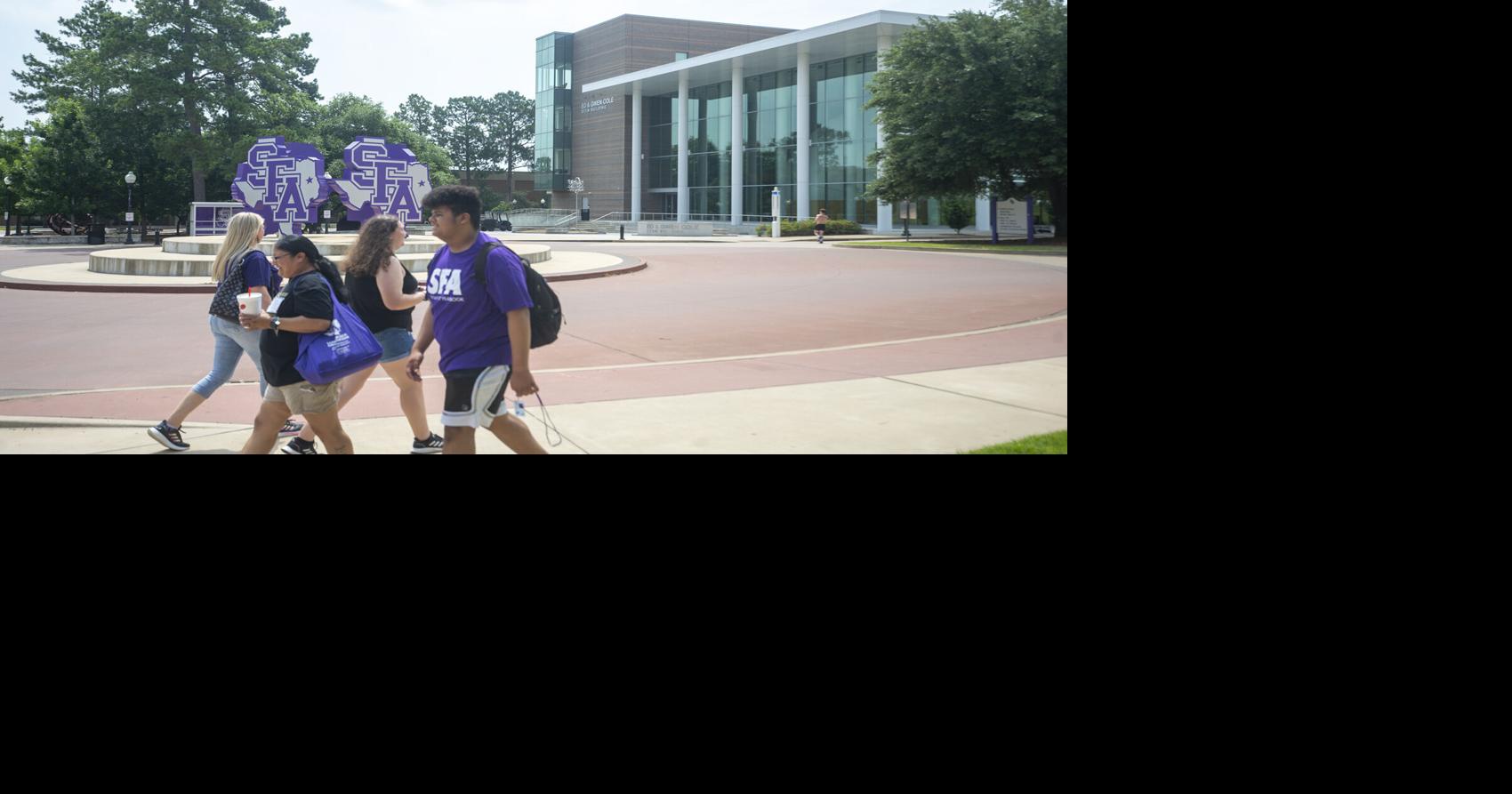 Hackers leak documents they say were stolen in SFA attack plan to auction data copy