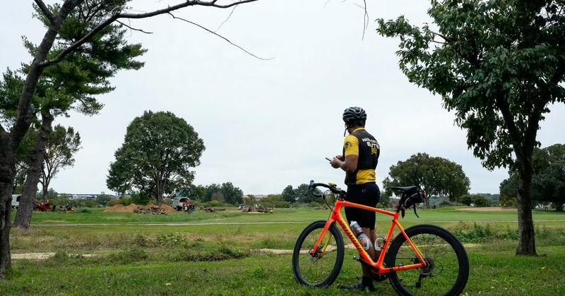 Trees removed at East Potomac Golf Links golf course in Washington
