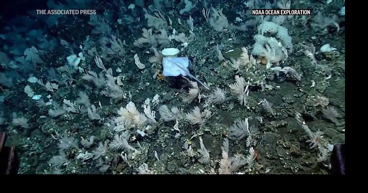 Researchers explore Alaska