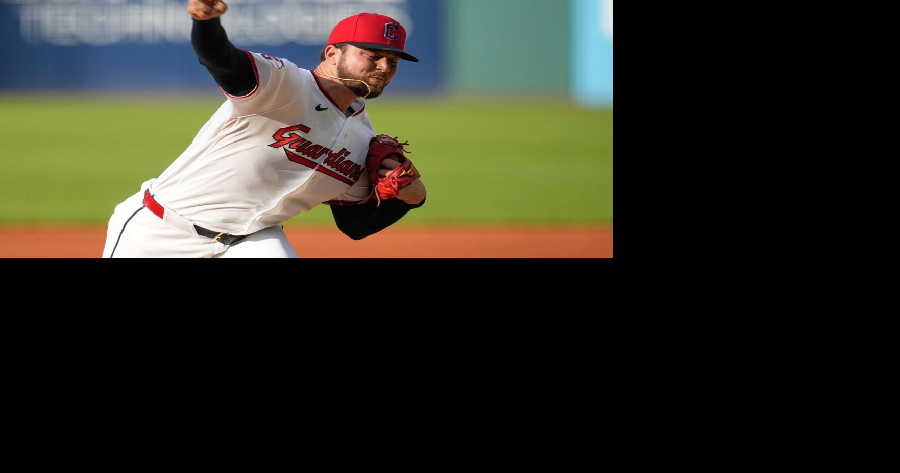 White Sox Guardians Baseball