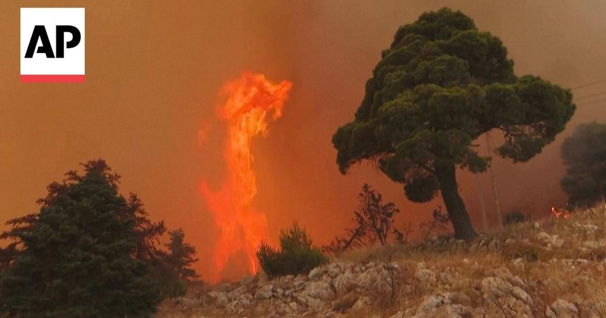 Οι φλόγες τυλίγουν δέντρα κοντά στην Αθήνα στην Ελλάδα, καθώς οι πυροσβέστες αντιμετωπίζουν μεγάλη δασική πυρκαγιά