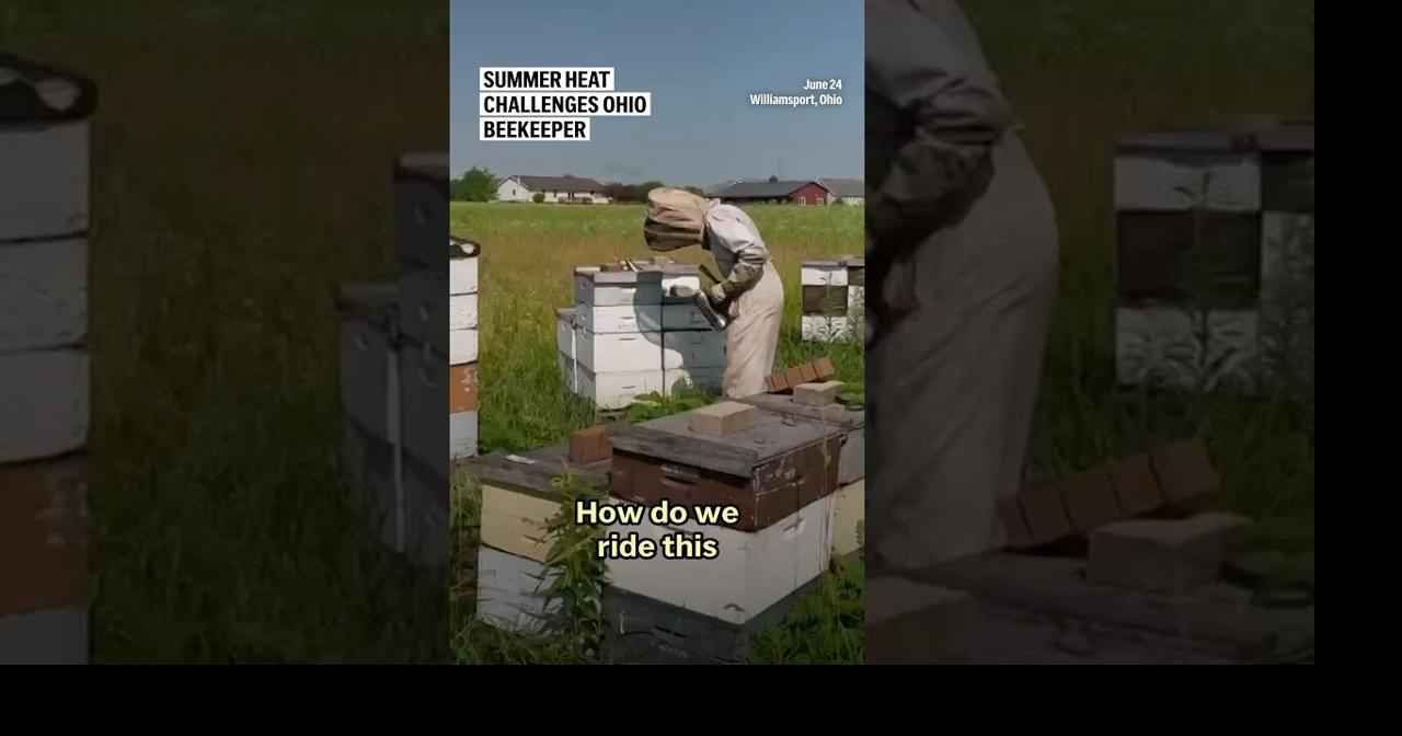Summer heat challenges Ohio beekeeper | Ap Video | lufkindailynews.com