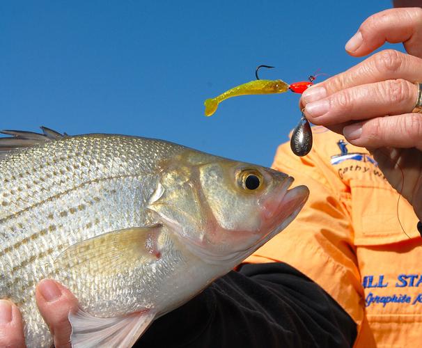 clam ice fishing accessories Ice Fishing Shelters  Clam Outdoors