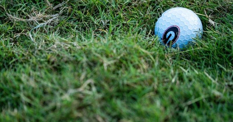 A golf ball with a Georgia Bulldogs logo sits in the grass during the Lyle Machinery Pro-Am round of the Sanderson Farms Championship at the Country Club of Jackson in Jackson, Miss., on Wednesday, Oct. 1, 2025.