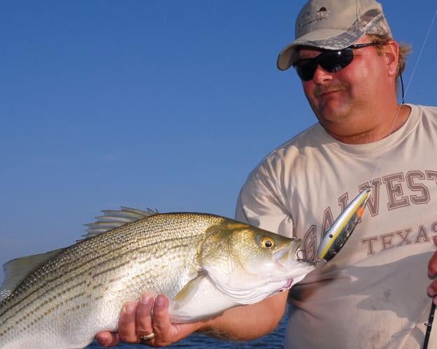 Striper Fishing Lure Blog, Striper Fishing TX