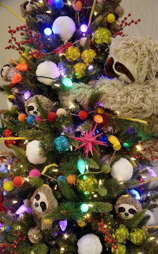 Plenty of options abound for family fun during holiday season