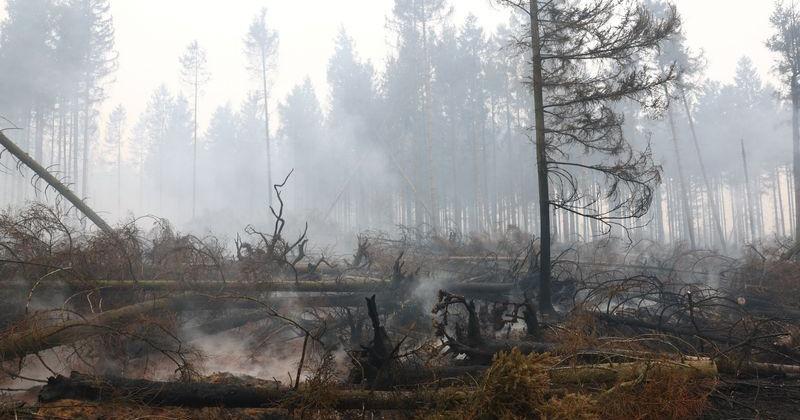Wildfire in Belgium