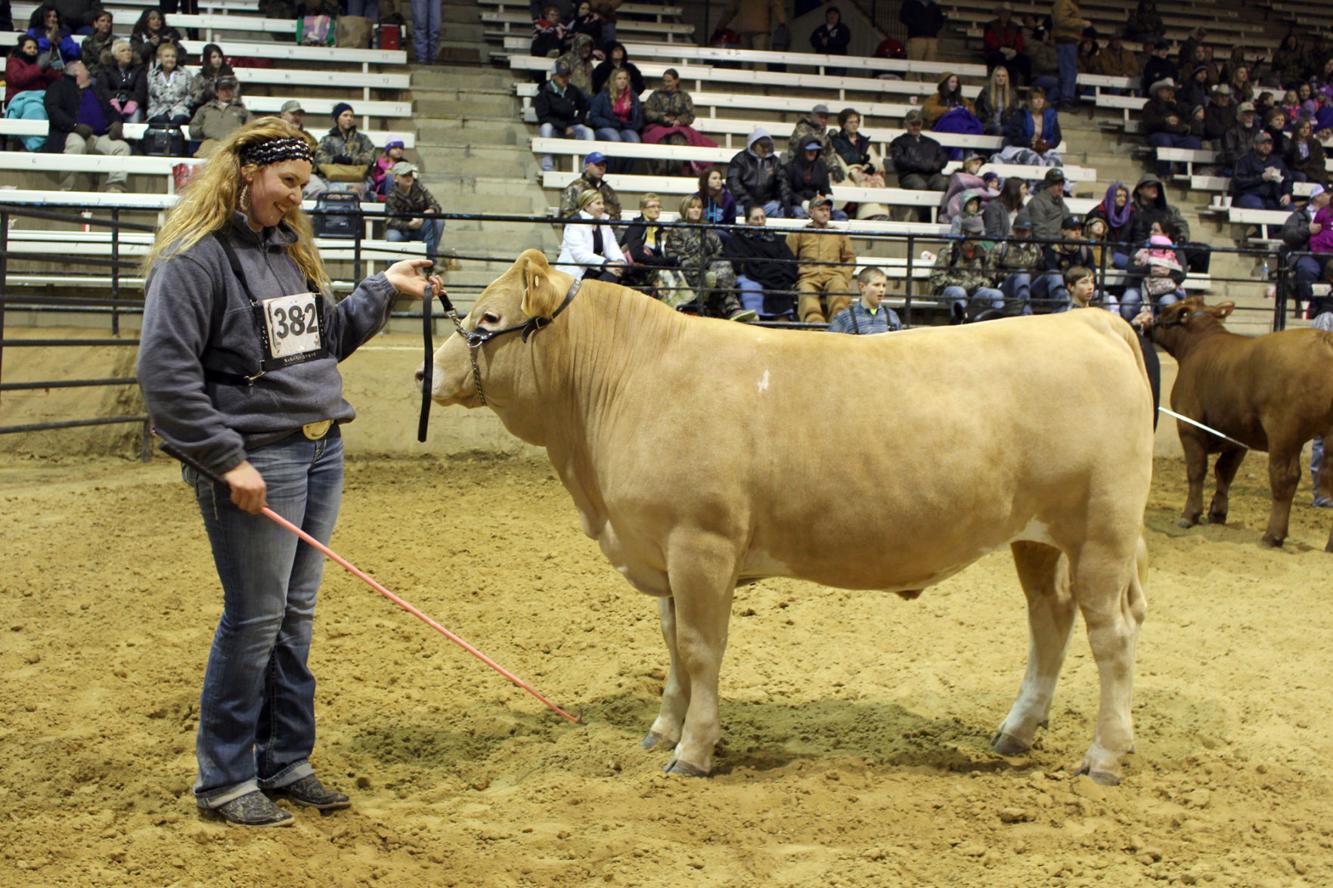 Central Senior's Steer Wins Title As Grand Champion 