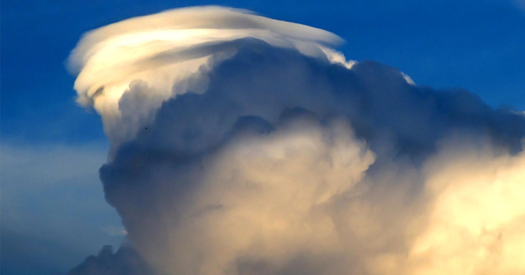 NWS to host event to promote hurricane preparedness - Vimarsana News