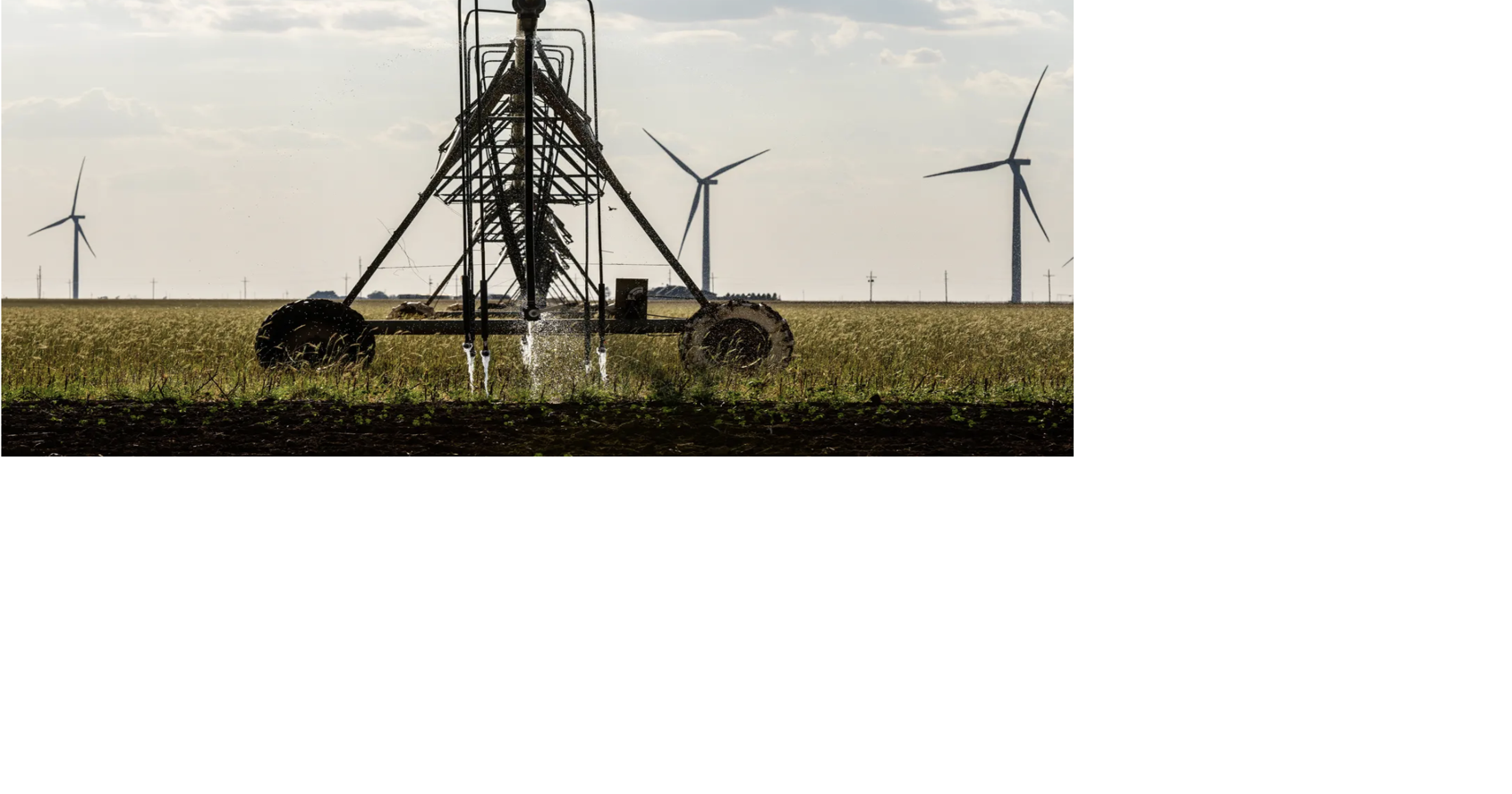As Texas swelters crops and cattle are increasingly at risk