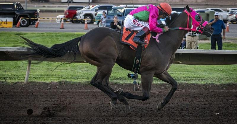 Cowboys Flying won the 440-yard, All American Futurity on Monday, Sept. 7, 2026 at the Downs At Albuquerque with jockey Nestor Duran aboard.