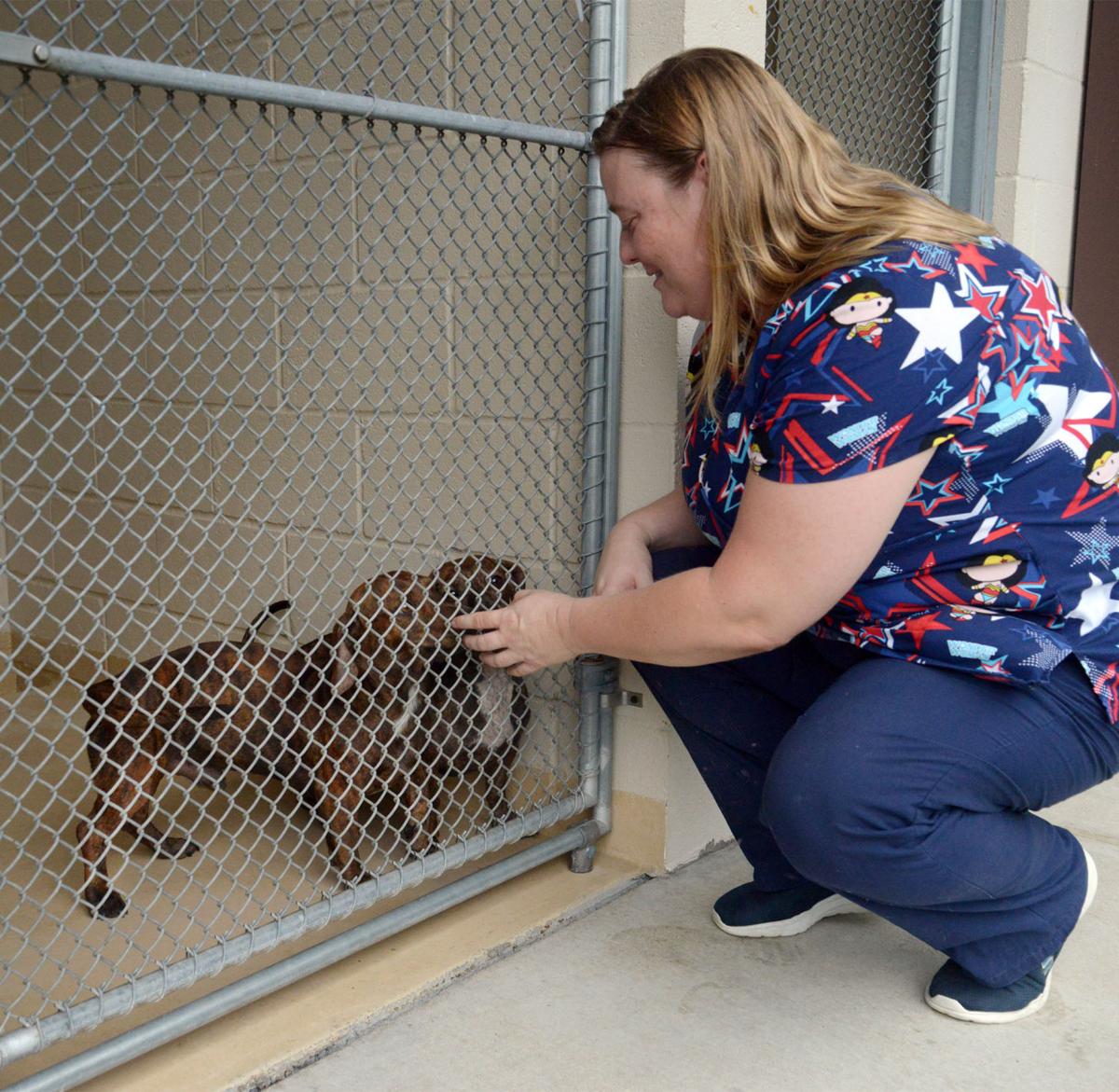 Doggone miracle! Shelter clears kennels, sets personal record rescue