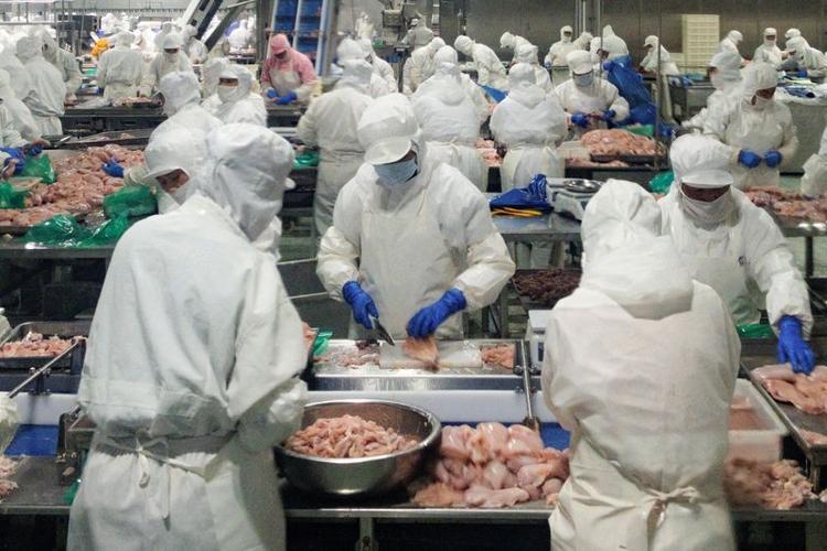 China's 36.3% Export Surge Reshapes Cross-Border Sourcing | Seller Opportunity Window