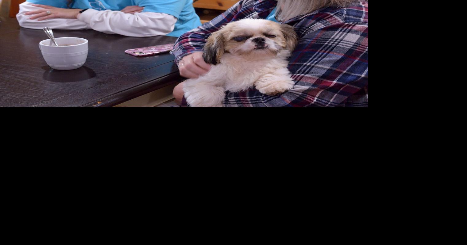 Blue Collar Mutts Rescue provides help for pets in need Local & State