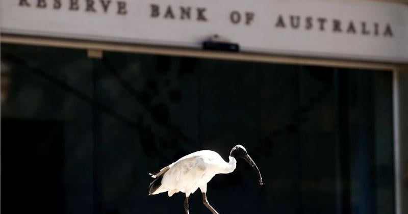 An ibis bird perches next to the Reserve Bank of Australia headquarters in central Sydney