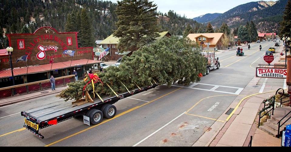 Four Lufkinites join U.S. Capitol Christmas Tree on journey to Lufkin