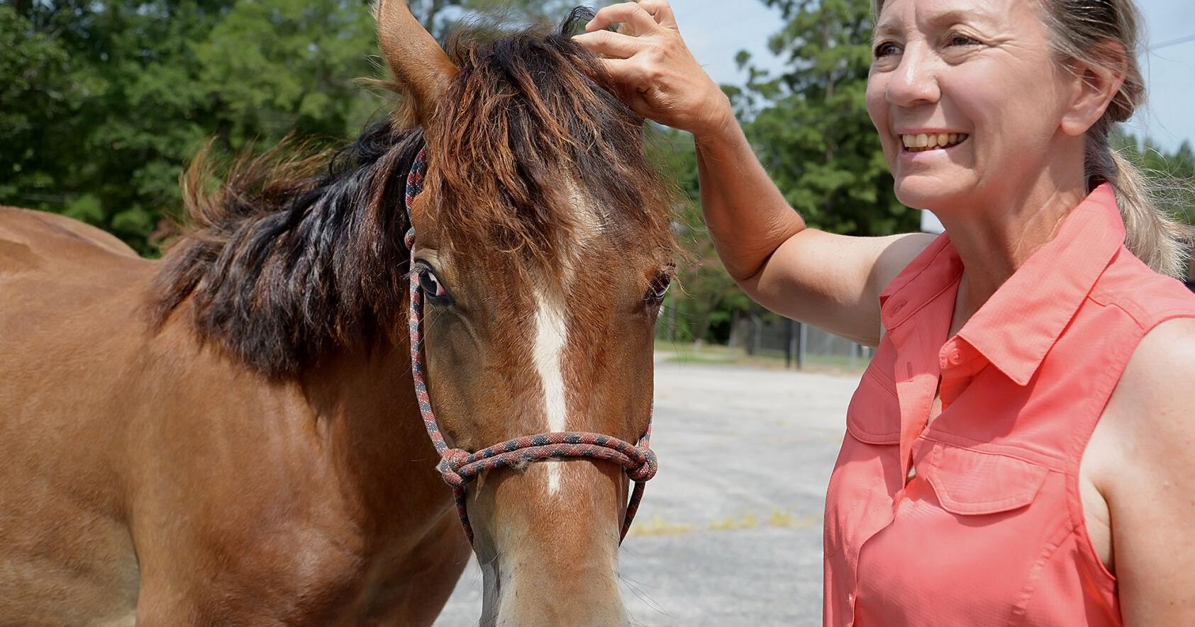 Guests pony up for burros, wild horses during expo event - Vimarsana News