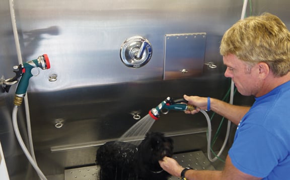 lucky puppy grooming