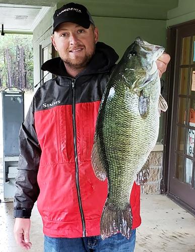 Meanmouth record: New state record catch carries mixed bag of smallmouth,  spotted bass DNA, Sports
