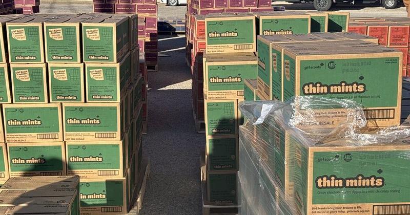 What is the best-selling cookie for Girl Scout cookie selling season? The Thin Mints! And they're even better after sticking them in the freezer.