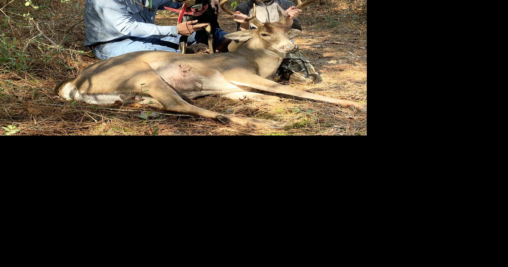 When in doubt, hunters should bring tracking dog to find wounded deer