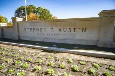 Stephen F. Austin State University Alumni Association